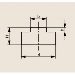 Ghidaj pentru lant tip T 2000 mm